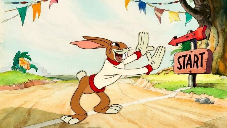 The Tortoise and the Hare image