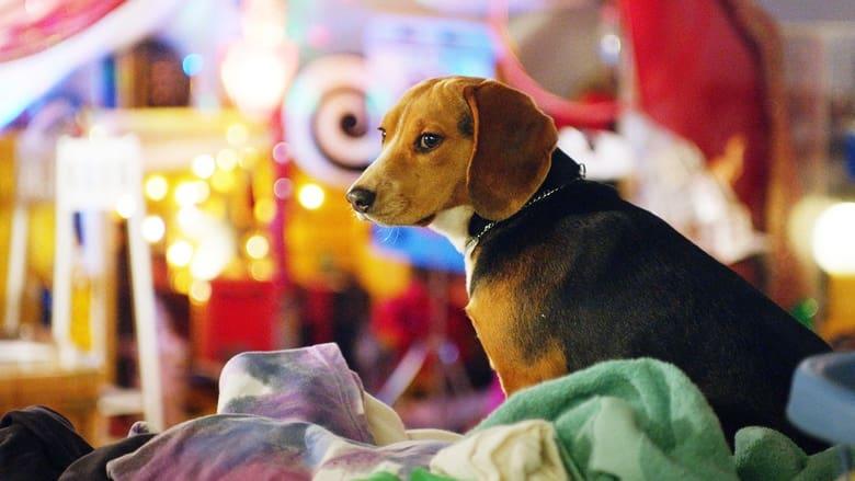 Shelby: The Dog Who Saved Christmas image
