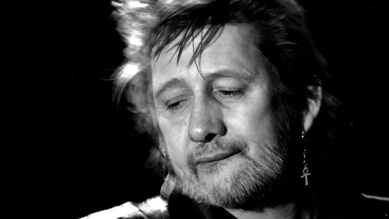 If I Should Fall from Grace: The Shane MacGowan Story image