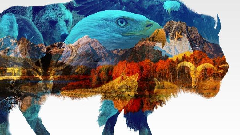 America the Beautiful image