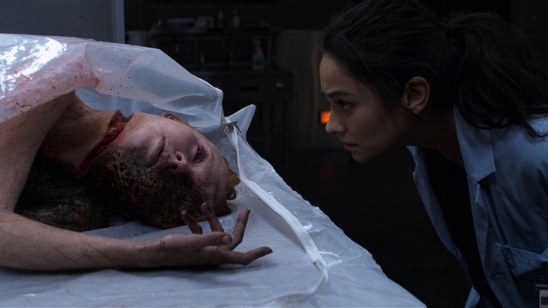 The Possession of Hannah Grace image