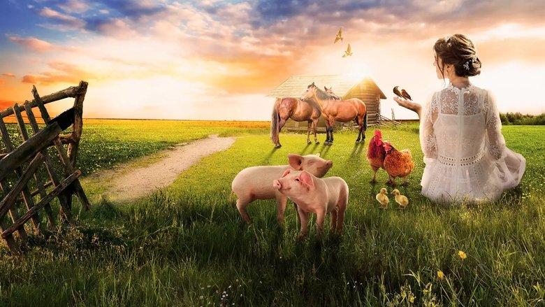 The Farmer Wants a Wife image