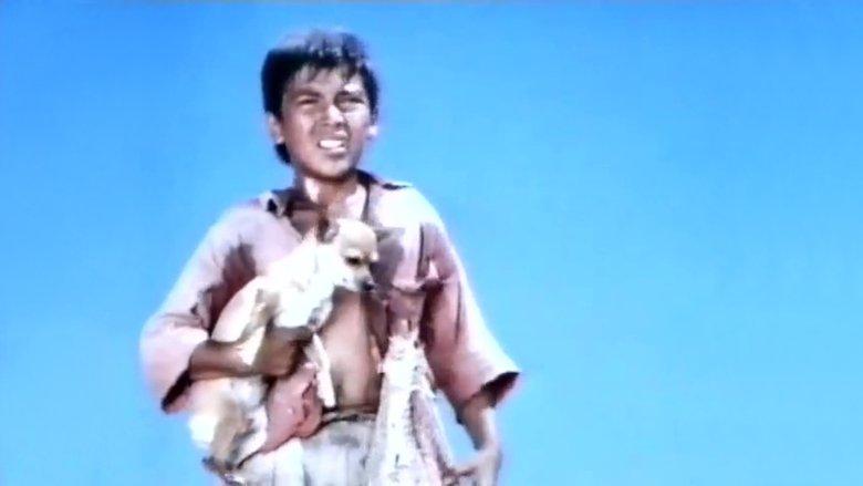 Pablo and the Dancing Chihuahua image