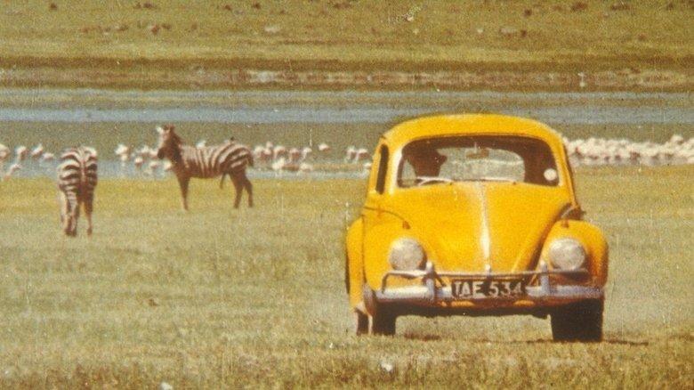 The Love Bug Rally image
