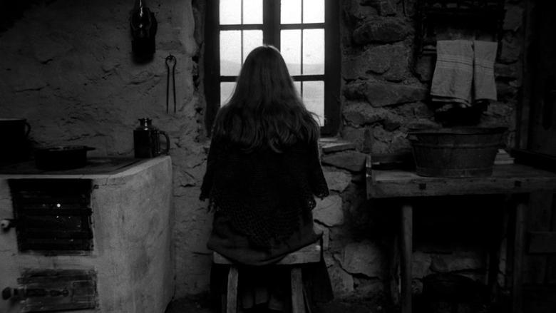 The Turin Horse image