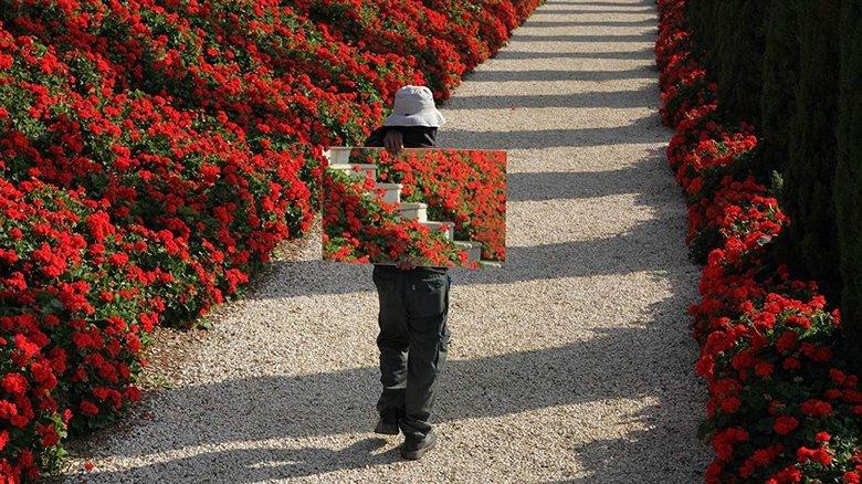 The Gardener image