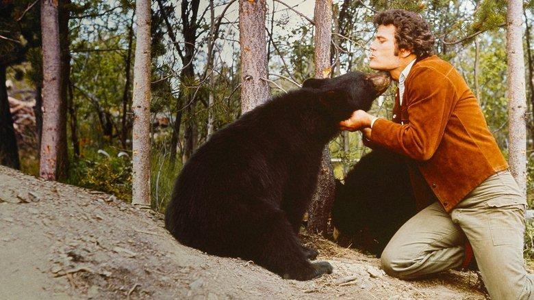 The Bears and I image