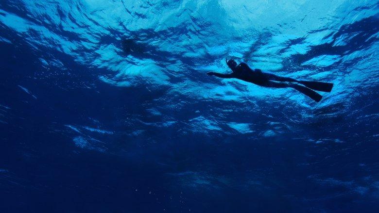 The Swim image