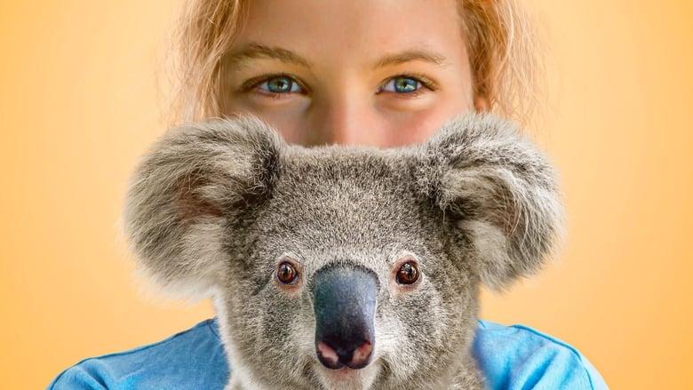 Izzy's Koala World image