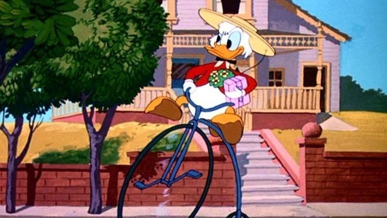 Crazy Over Daisy image