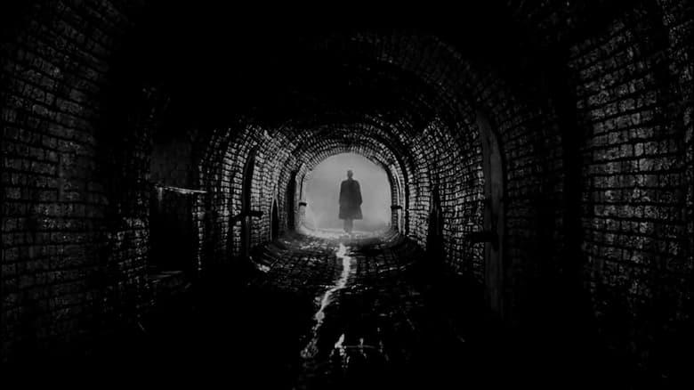 The Third Man image