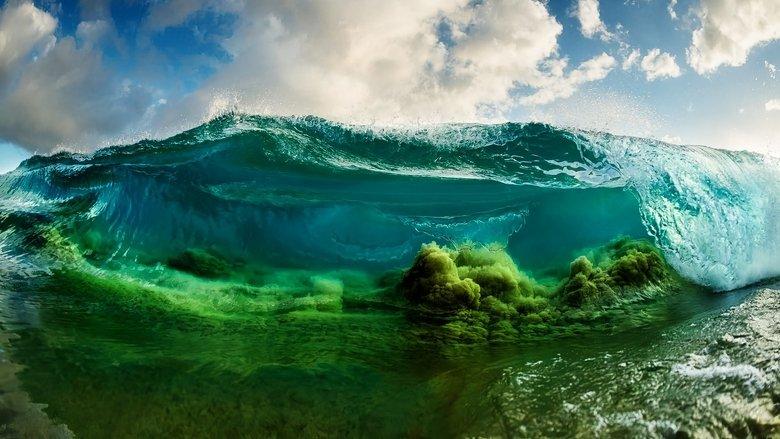 Shorebreak: The Clark Little Story image
