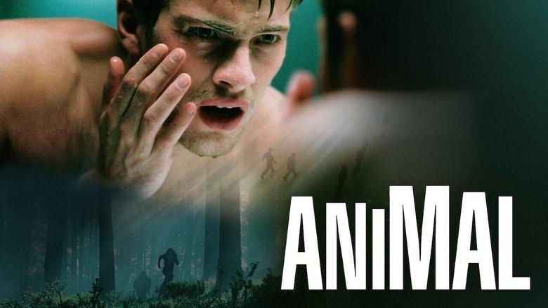 Animal image
