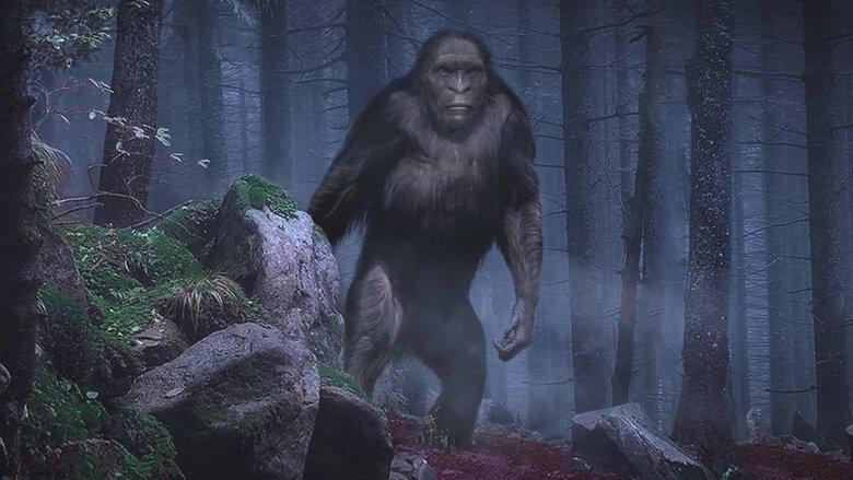 On the Trail of Bigfoot: The Discovery image
