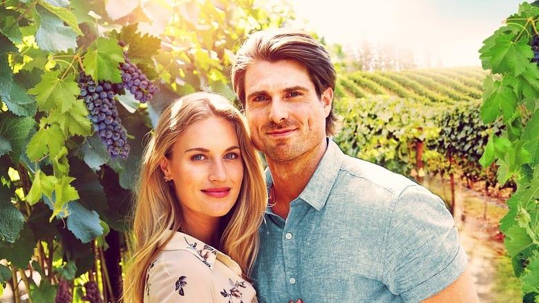 A Vineyard Romance image