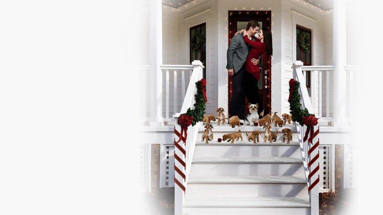 12 Pups of Christmas image