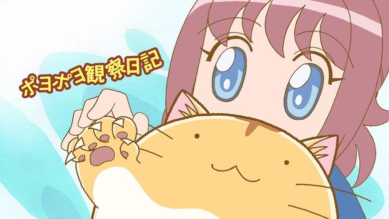 Poyopoyo image