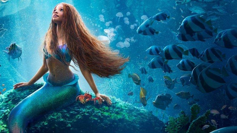 The Little Mermaid image
