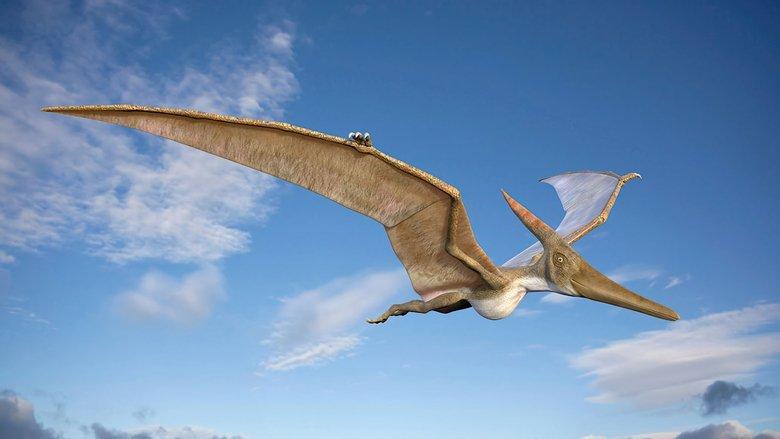 Sky Monsters image