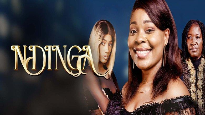 Ndinga image