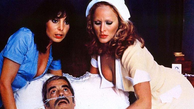 The Sensuous Nurse image