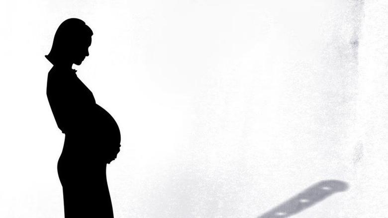 The Surrogacy Trap image