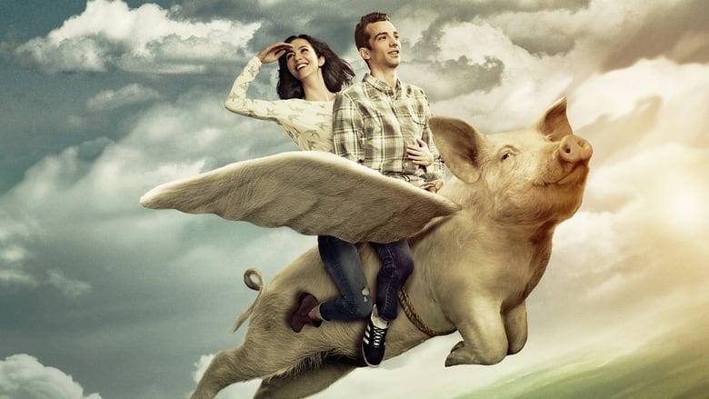 Man Seeking Woman image