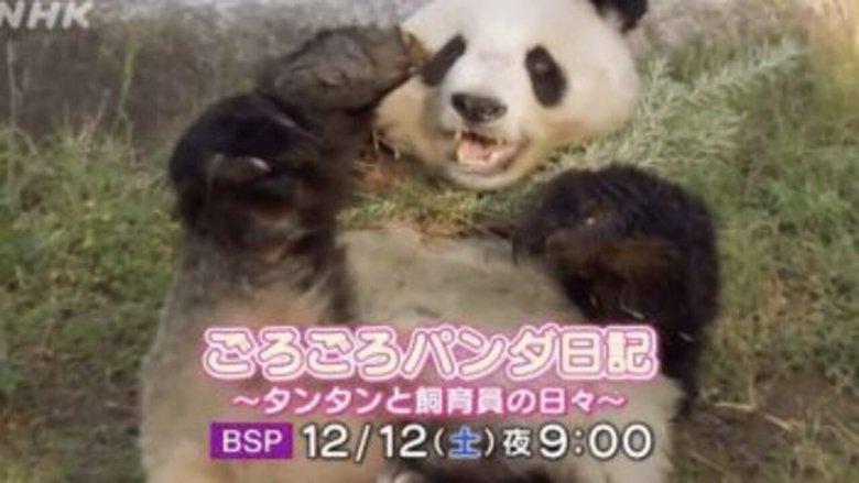 ごろごろパンダ日記 image