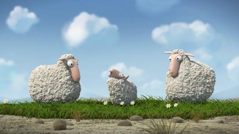 Lambs image