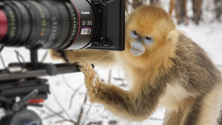 Expedition China image