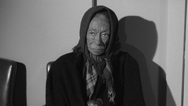 The Leech Woman image