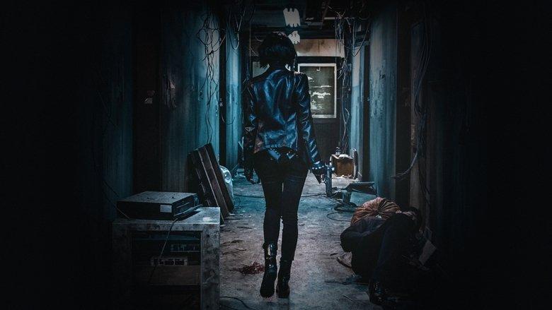 The Villainess image