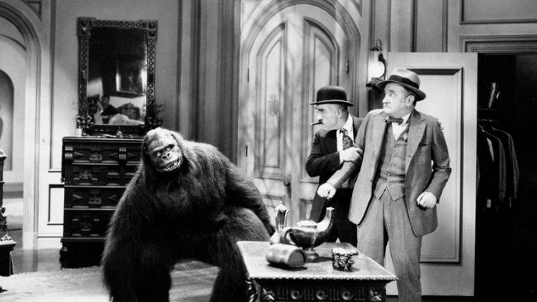 The Gorilla image