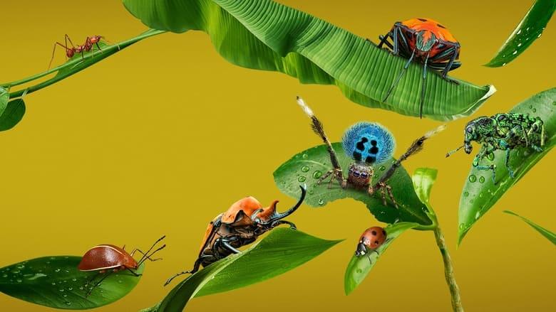 A Real Bug's Life image