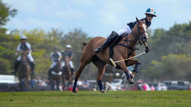 Polo image