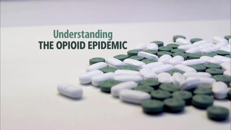 Understanding the Opioid Epidemic image