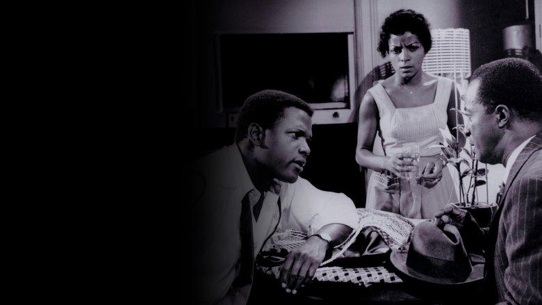 A Raisin in the Sun image