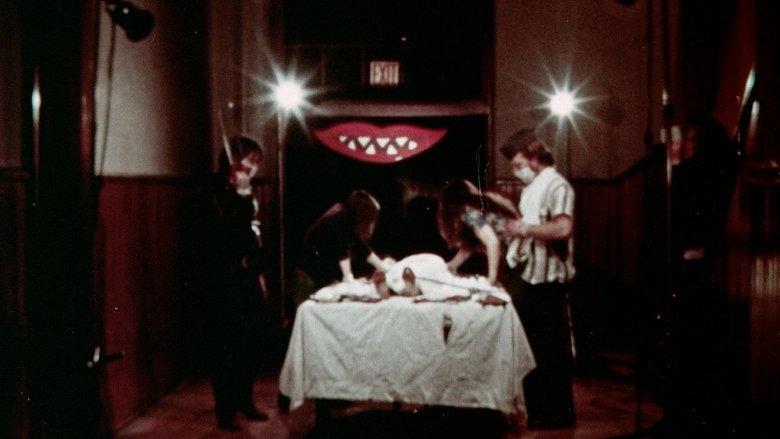The Fun House image