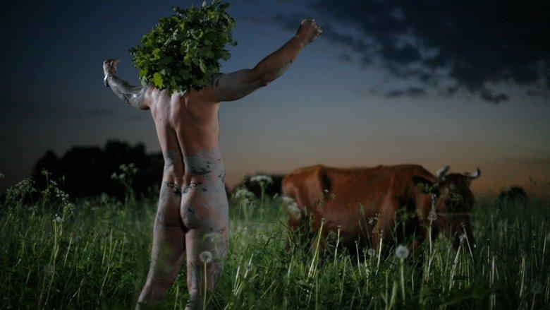Midsummer Madness image