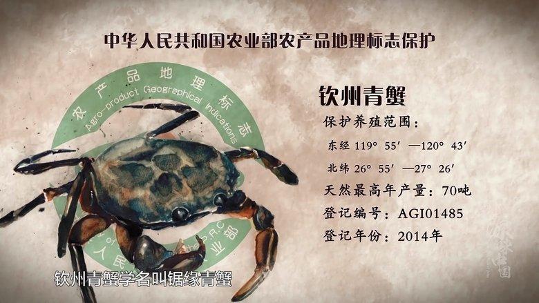 源味中国 image