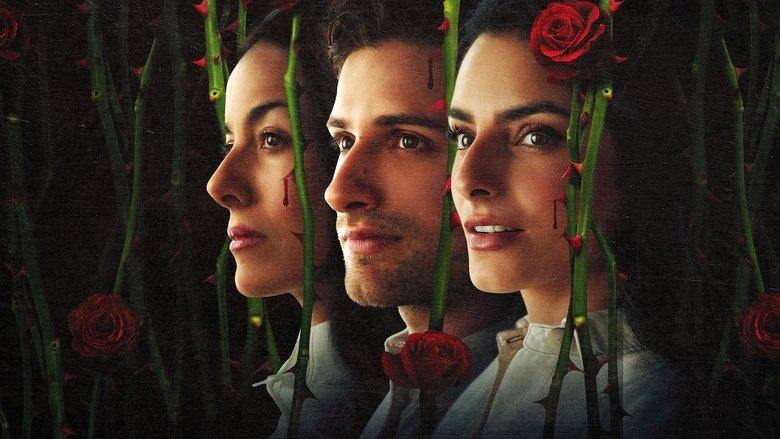 The House of Flowers image
