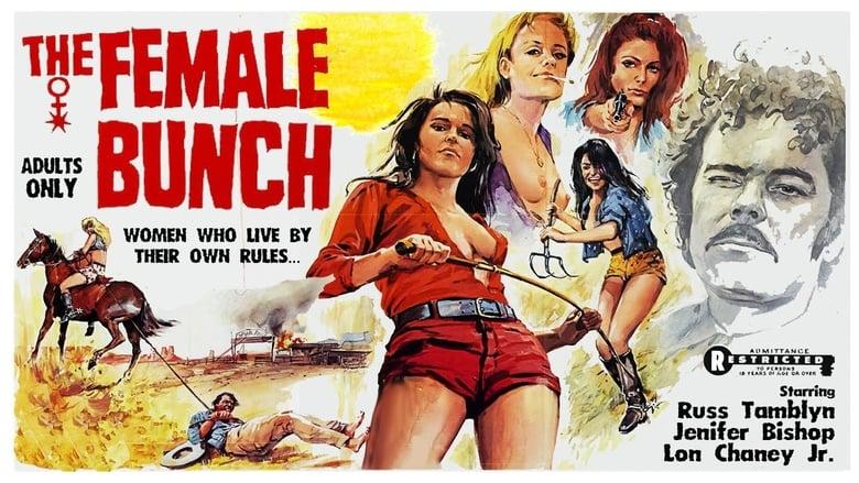 The Female Bunch image