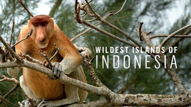 Wildest Islands of Indonesia image
