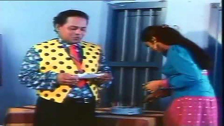 Pai Brothers image