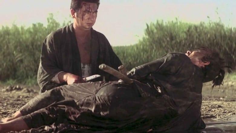 Zatoichi the Fugitive image