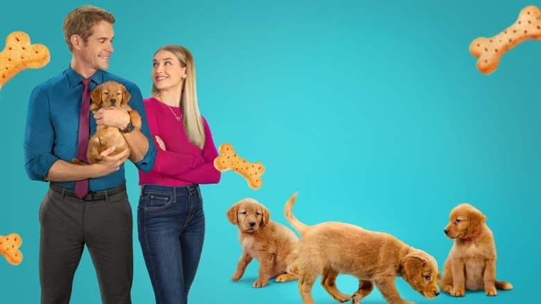 Everything Puppies image