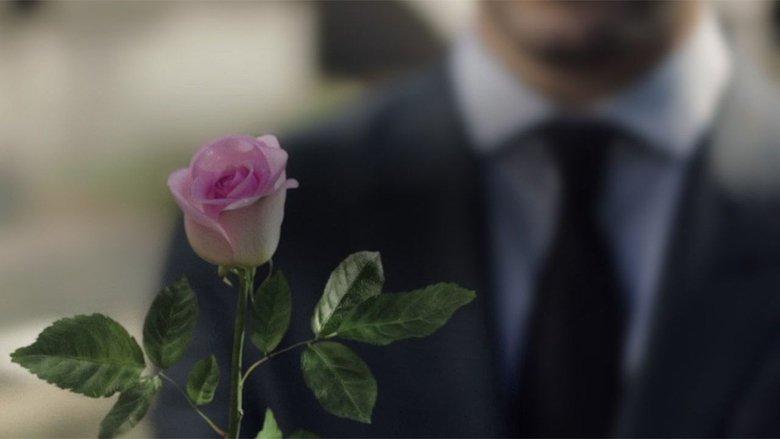 A Rose Reborn image