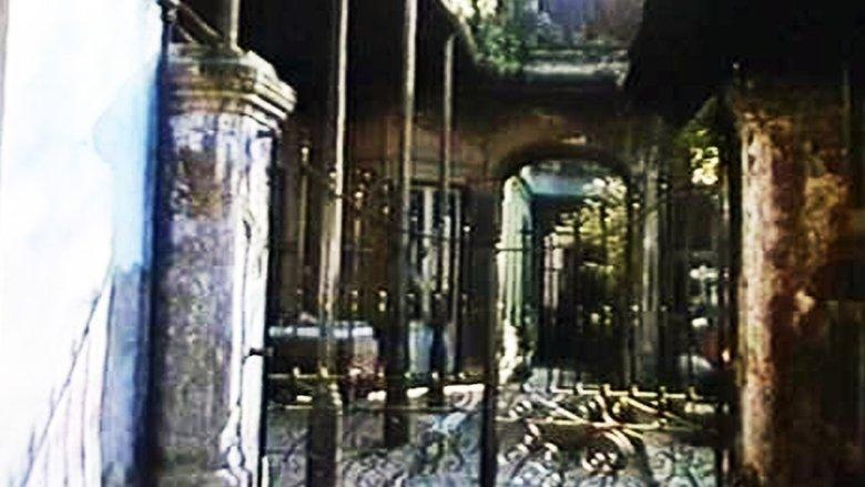 El amante de las películas mudas image