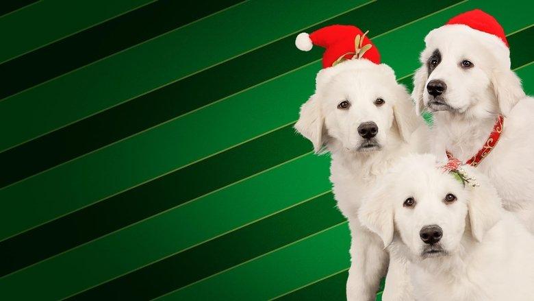 Santa Buddies image