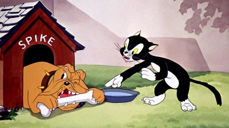 The Cat's Tale image
